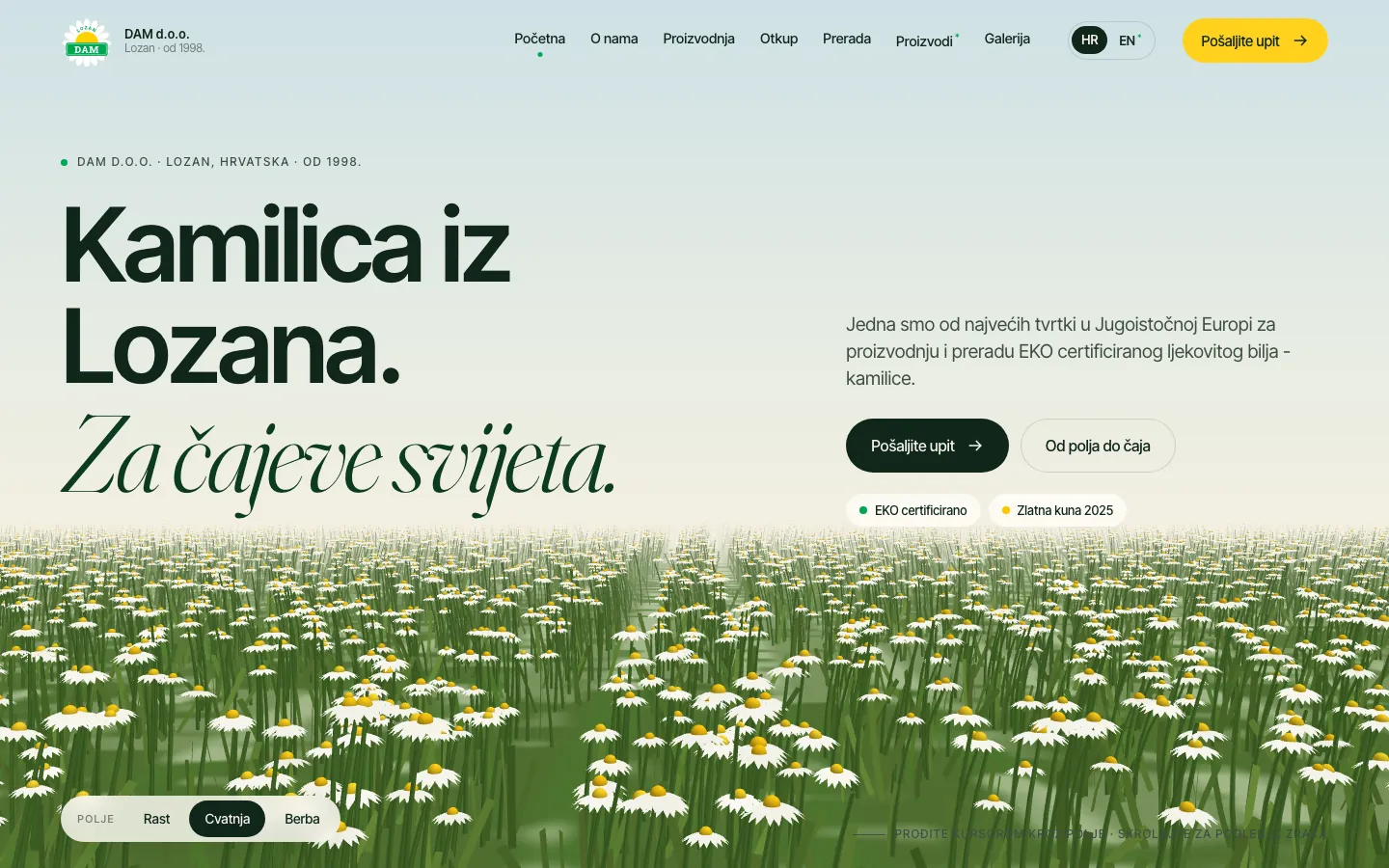 DAM d.o.o., web na računalu