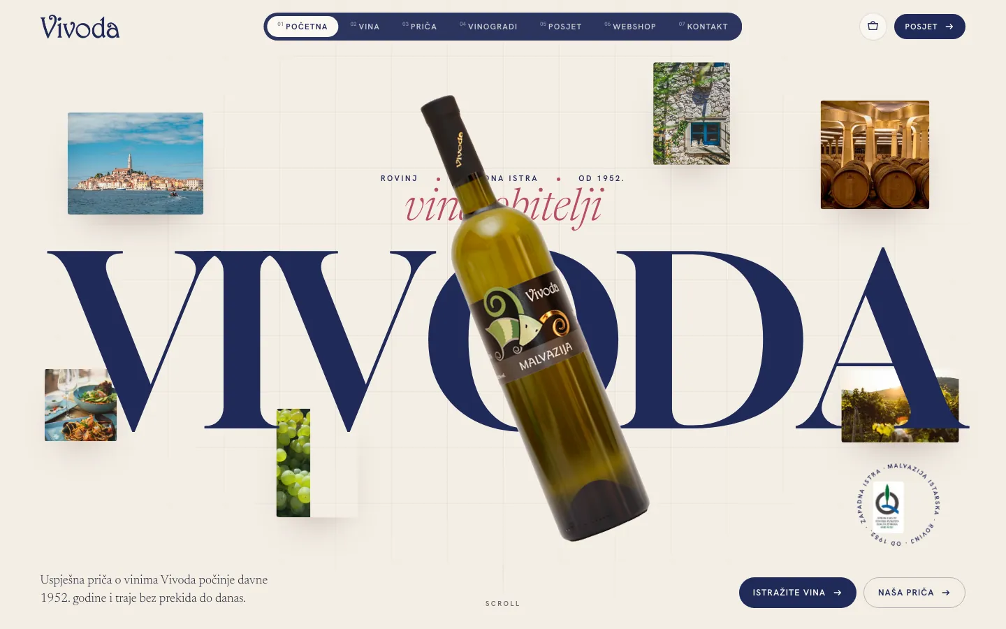 Vina Vivoda, web na računalu