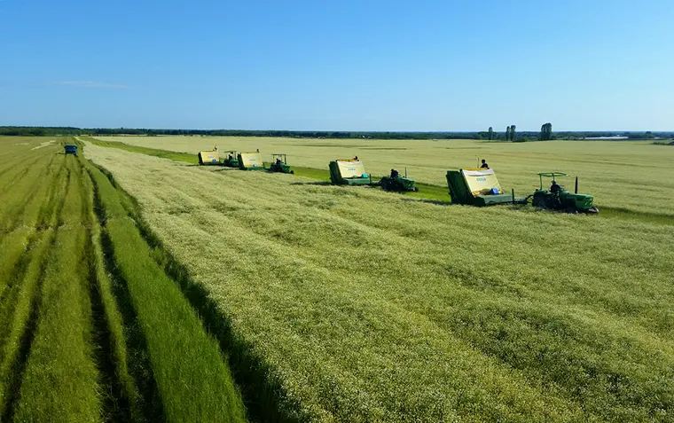 Kombajni na 400 ha