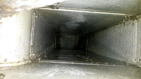 Kanali