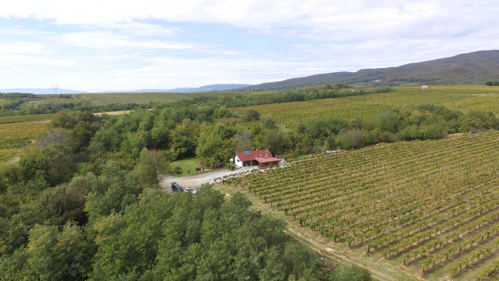 Klijet među vinogradima