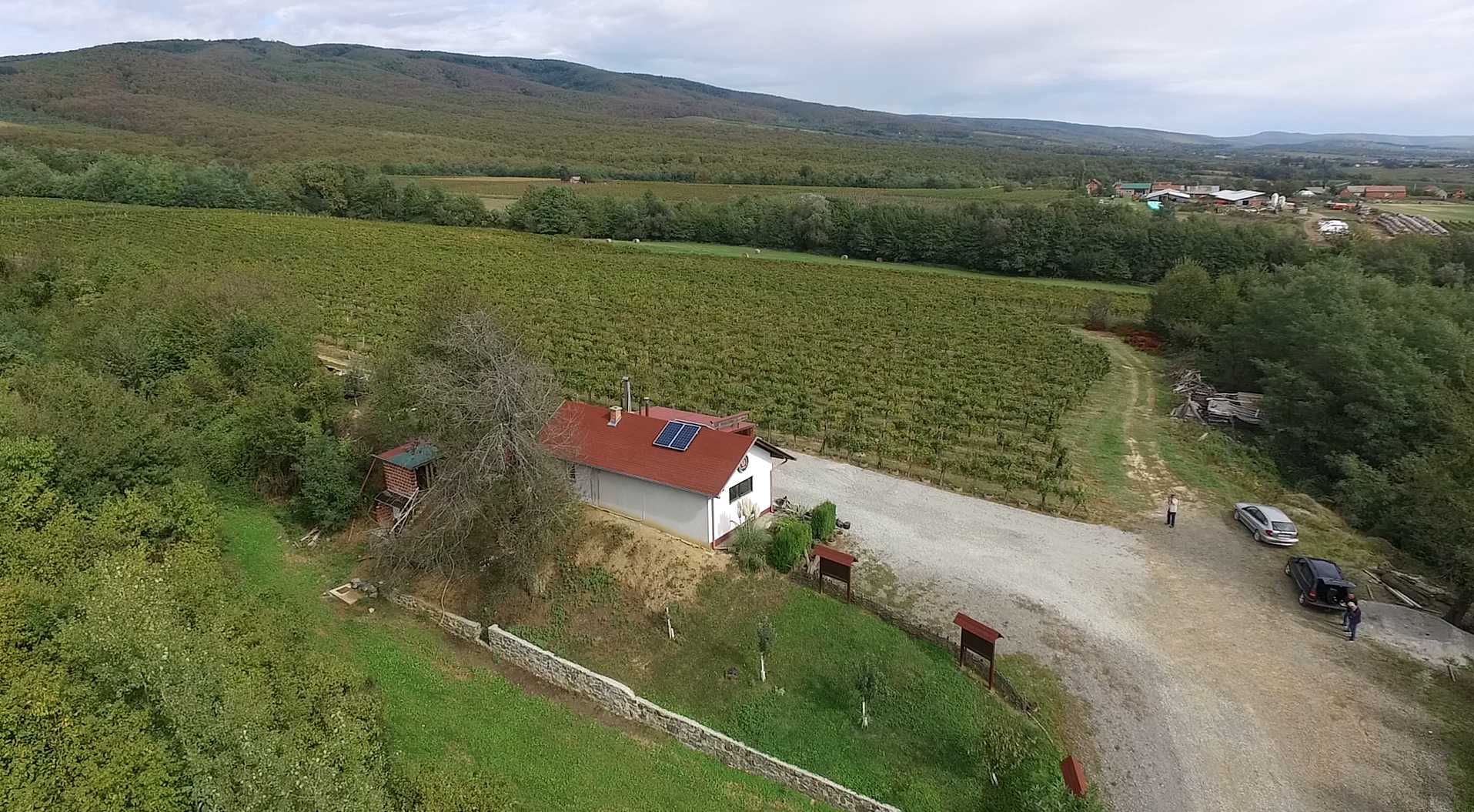 Klijet u vinogradima, Vinarija Jakobović