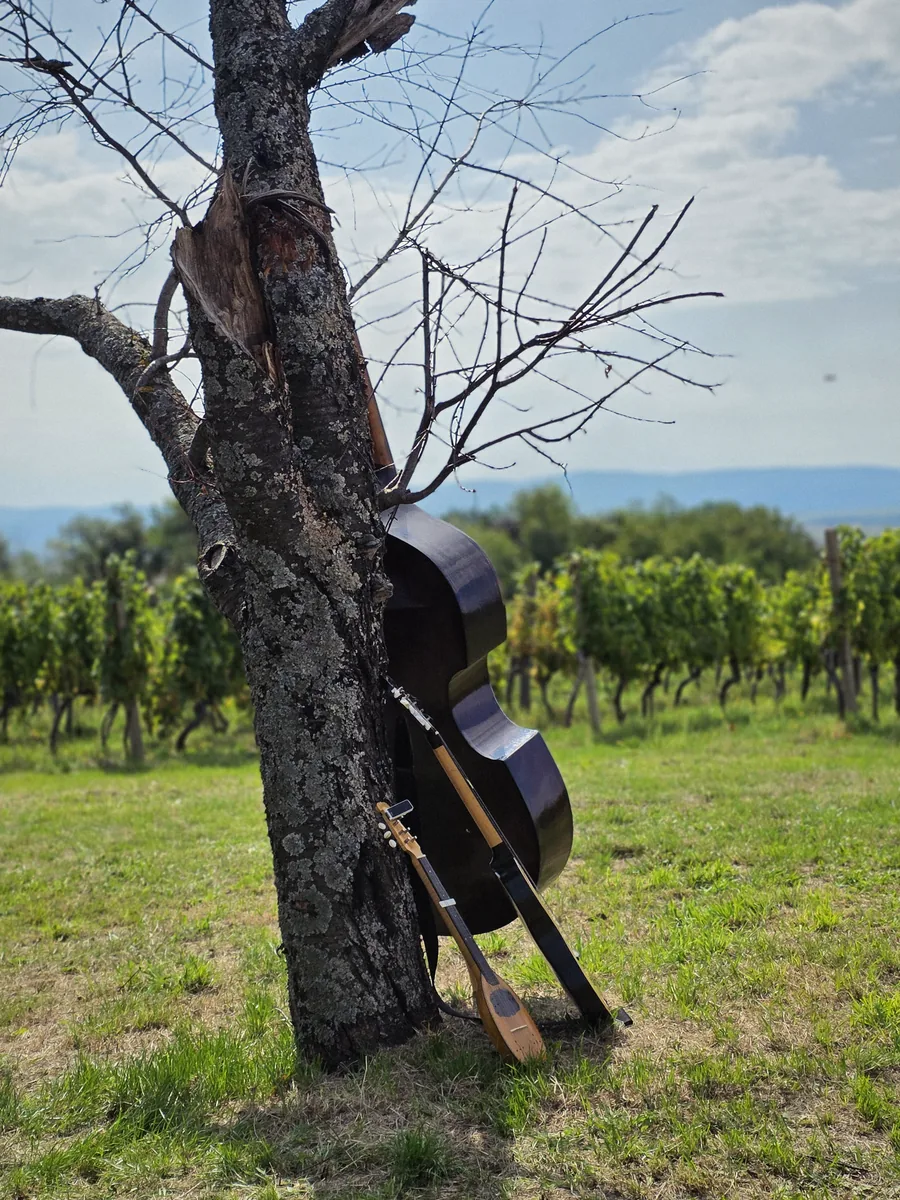 Obilazak vinograda u Mitrovcu