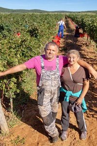 Davor i Suzana Vivoda u vinogradu